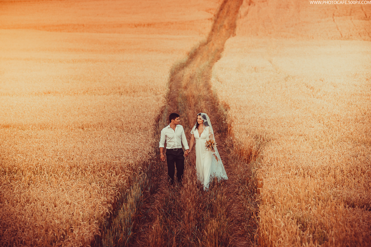 A & L. Wedding in a Fields of Gold. Destination wedding photographer in Iceland, Spain, Italy, Greece and