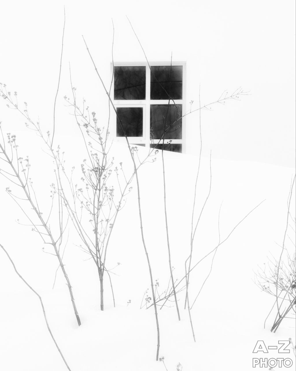 #ФОТОНЕДЕЛИ 16.03.2026. Женский семейный фотограф Тула Москва Захарова Анна