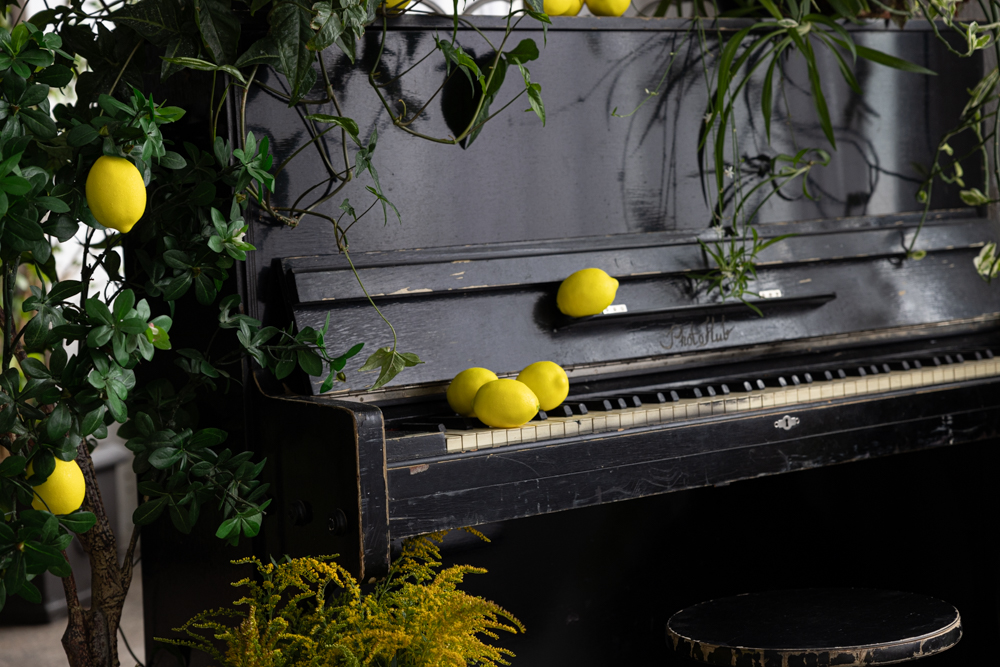 Photohub прочие залы. Фотограф в Минске Людмила Дутко