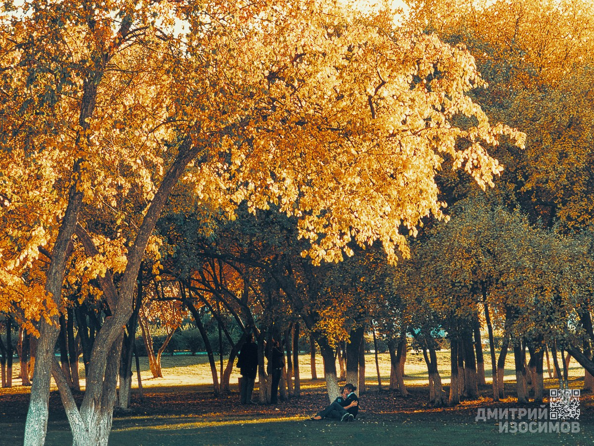В последнюю осень