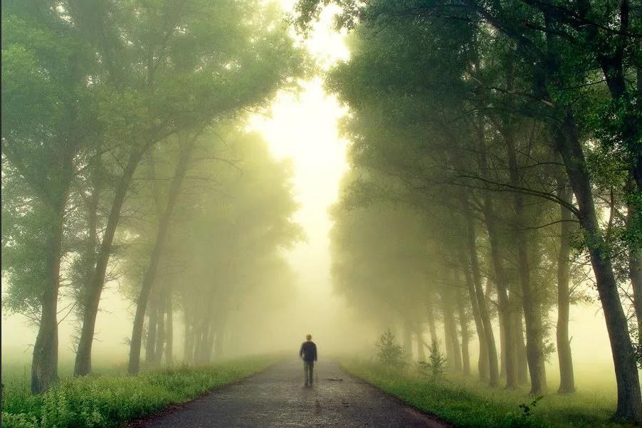 Основы композиции и приемы создания объема в кадре. Фотоцентр Перспектива: выпускные альбомы, фотошкола, курсы фотографии