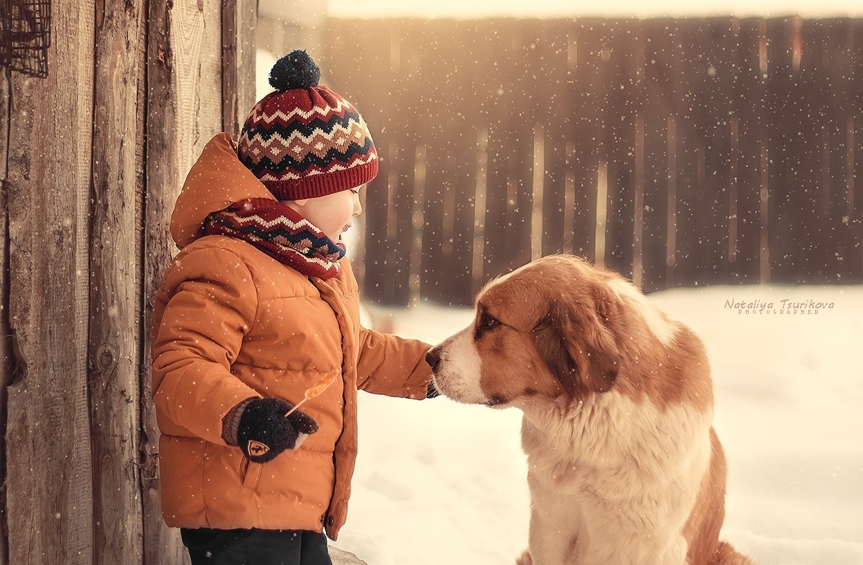 Основы композиции и приемы создания объема в кадре. Фотоцентр Перспектива: выпускные альбомы, фотошкола, курсы фотографии