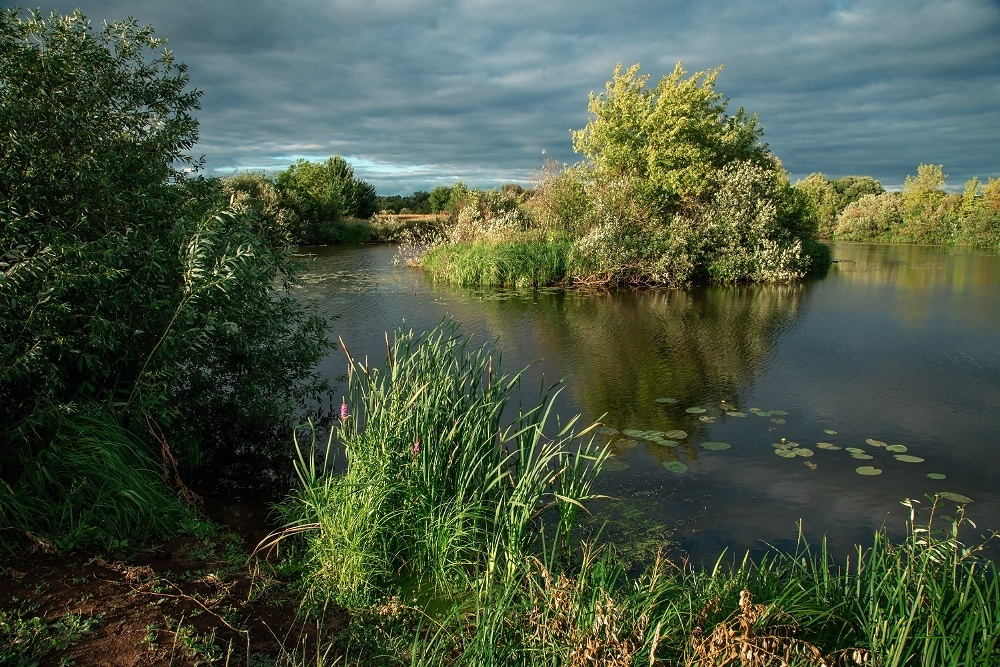 Основы композиции и приемы создания объема в кадре. Фотоцентр Перспектива: выпускные альбомы, фотошкола, курсы фотографии