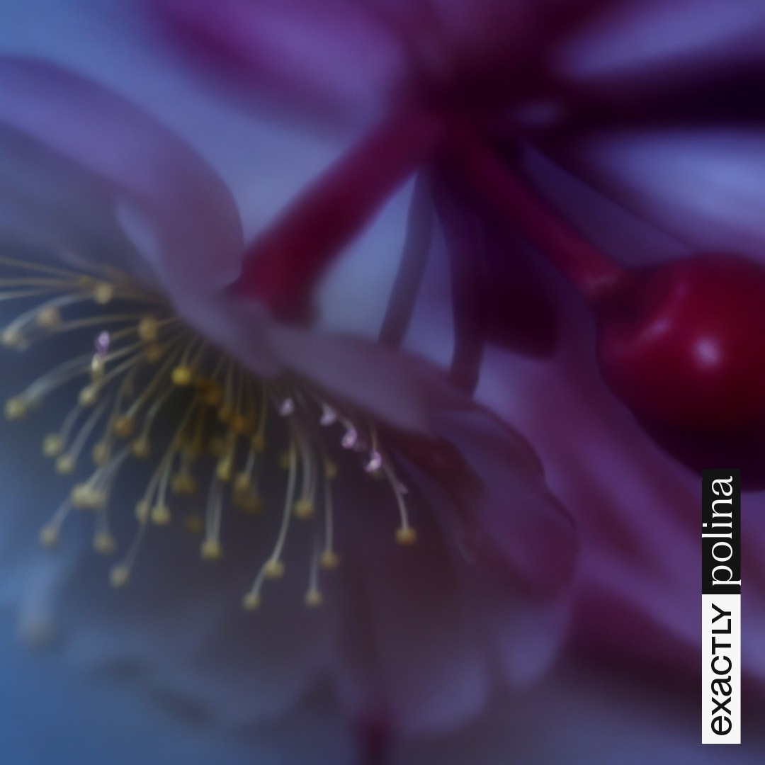 Exhibitions and…. POLINA MÔMOT