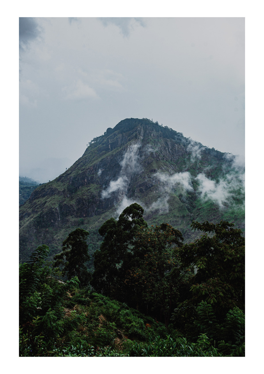 POST CARDS. Свадебный фотограф Грузия Alex and Polly