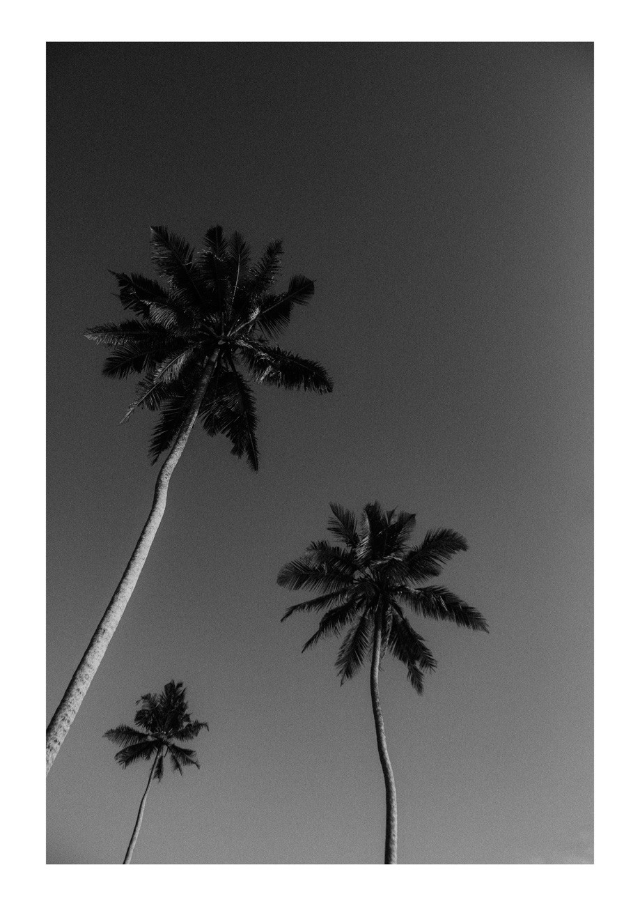 POST CARDS. Свадебный фотограф Грузия Alex and Polly