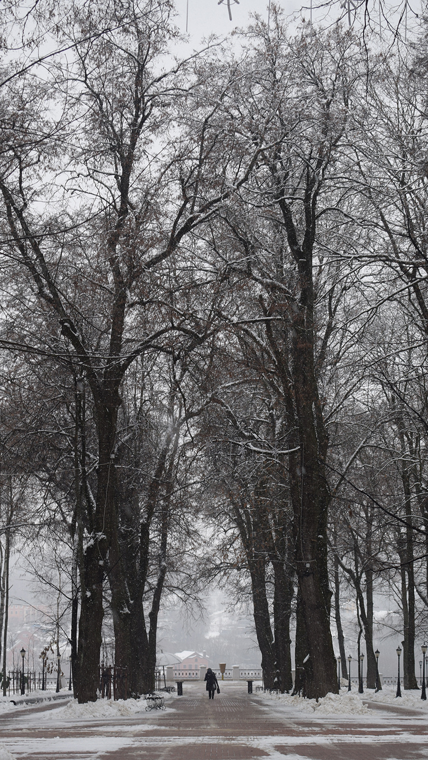 Городской и природный пейзаж. Калужский городской фотоконкурс