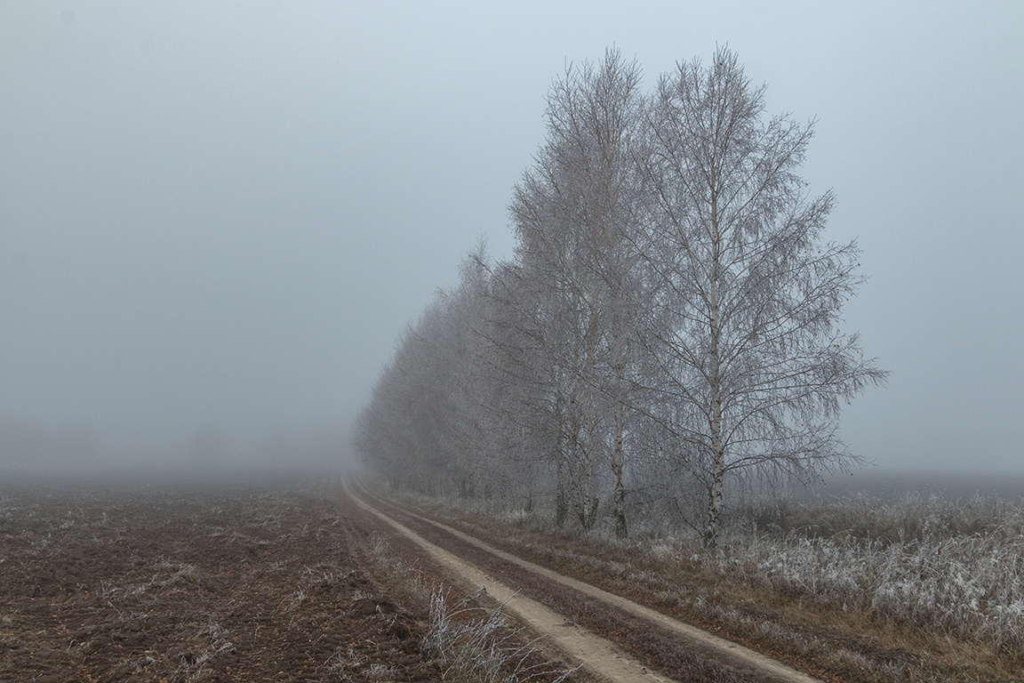Городской и природный пейзаж. Калужский городской фотоконкурс
