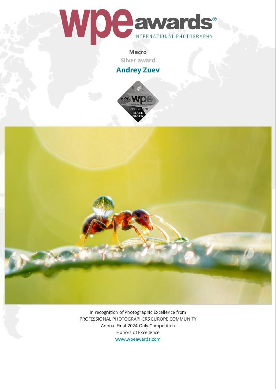 Биография. Foto-Zuev фотография как искусство