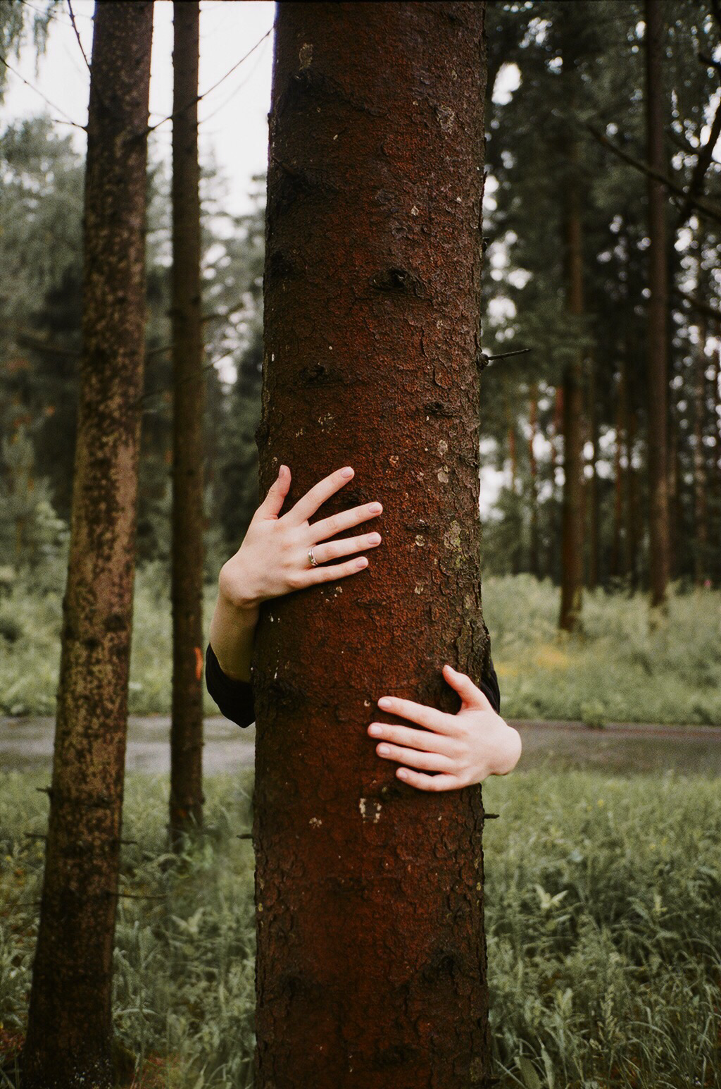 About. Творчество, исцеление, эстетика и щепотка волшебства