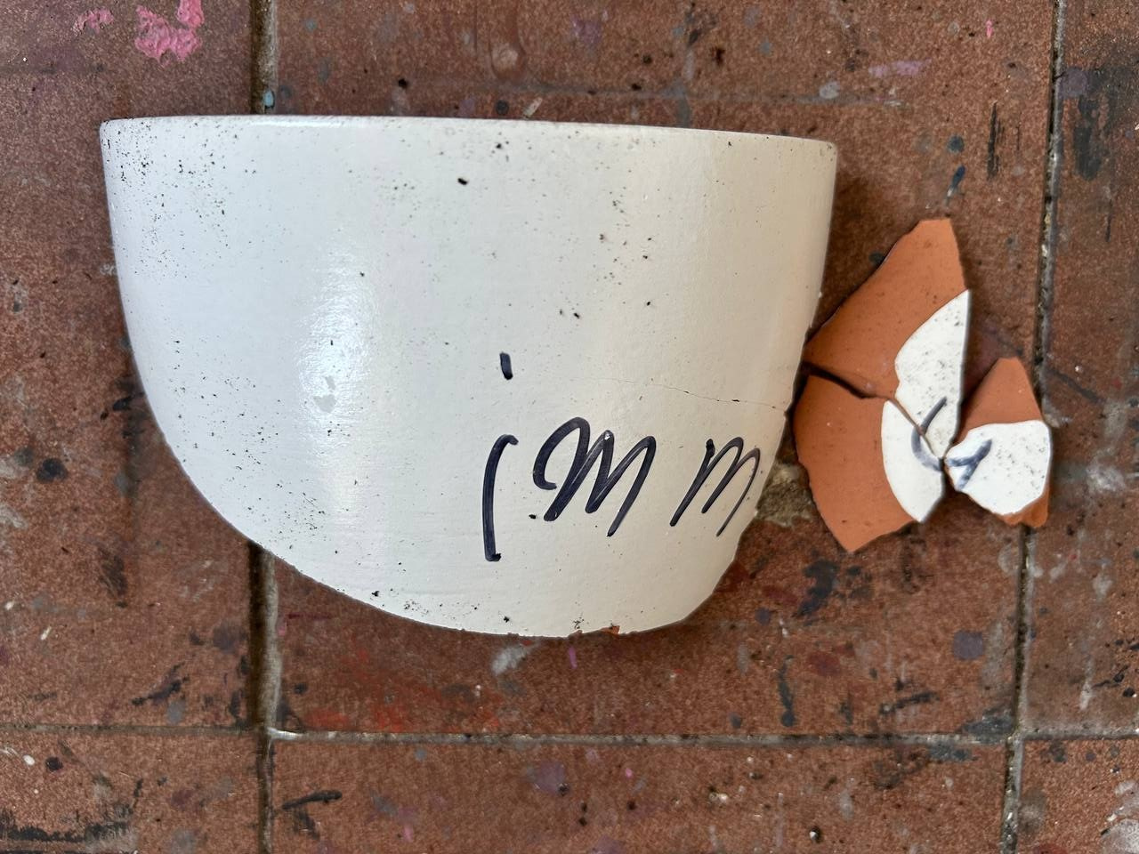 «Чуже Странцы». Лилия Ким. Междисциплинарный художник