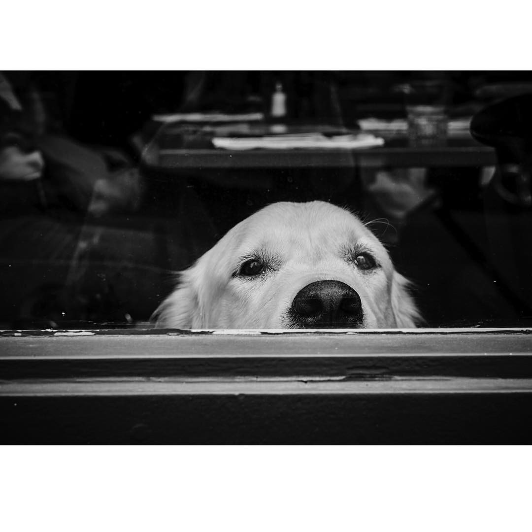 Paris: Download Error