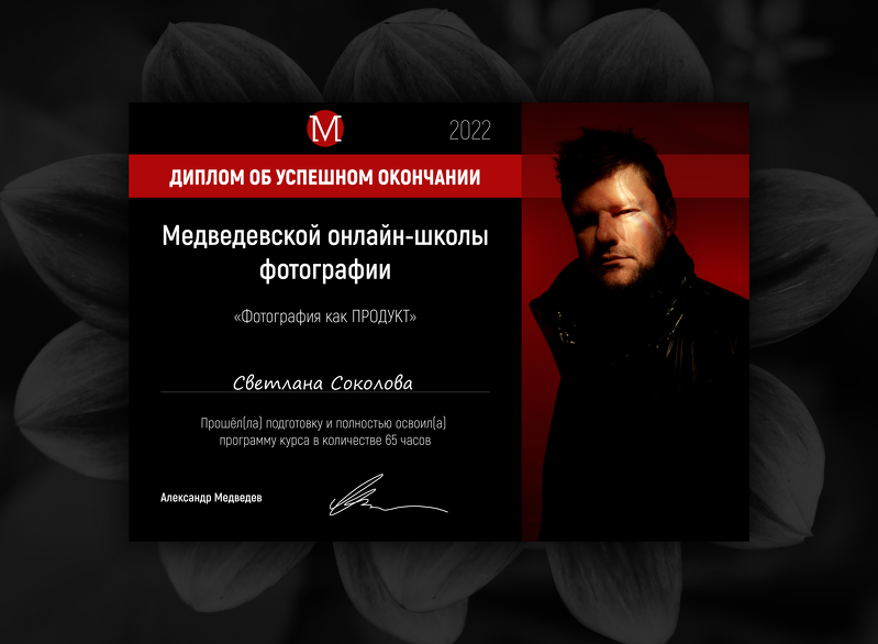 Фотограф Москва и МО: бизнес и женские портреты, кнотент для соцсетей