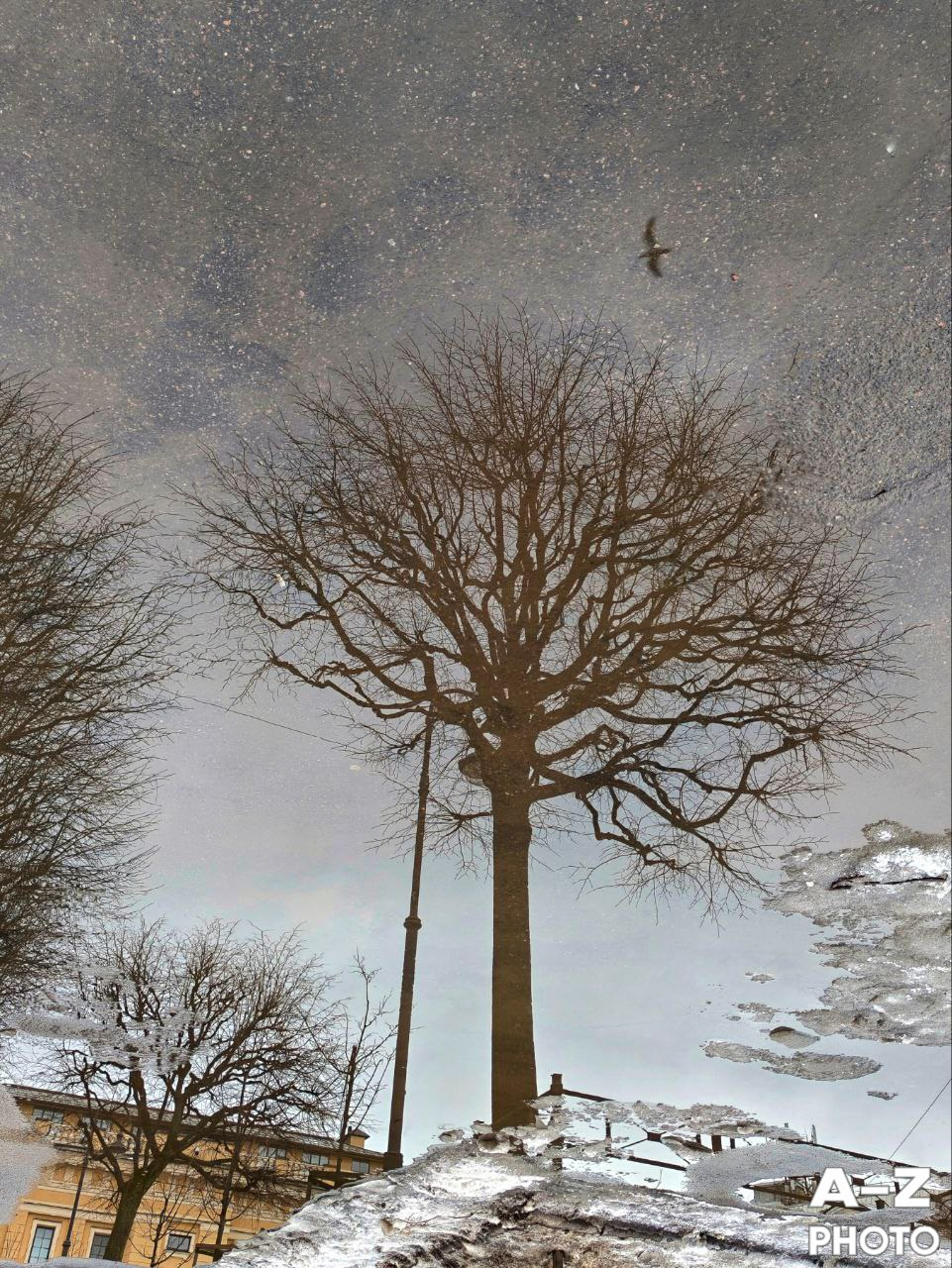 #ФОТОНЕДЕЛИ 16.03.2026. Женский семейный фотограф Тула Москва Захарова Анна