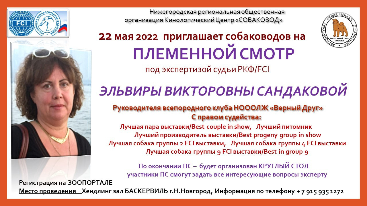 Племенной смотр 27.09.2020 г судья РКФ-FCI — А. Е. Логинов. НРОО КЦ "Собаковод"