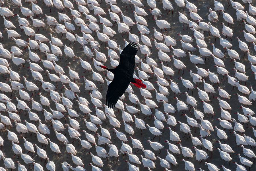 Мельников Максим Андреевич. Галерея участников Российской Премии Искусств