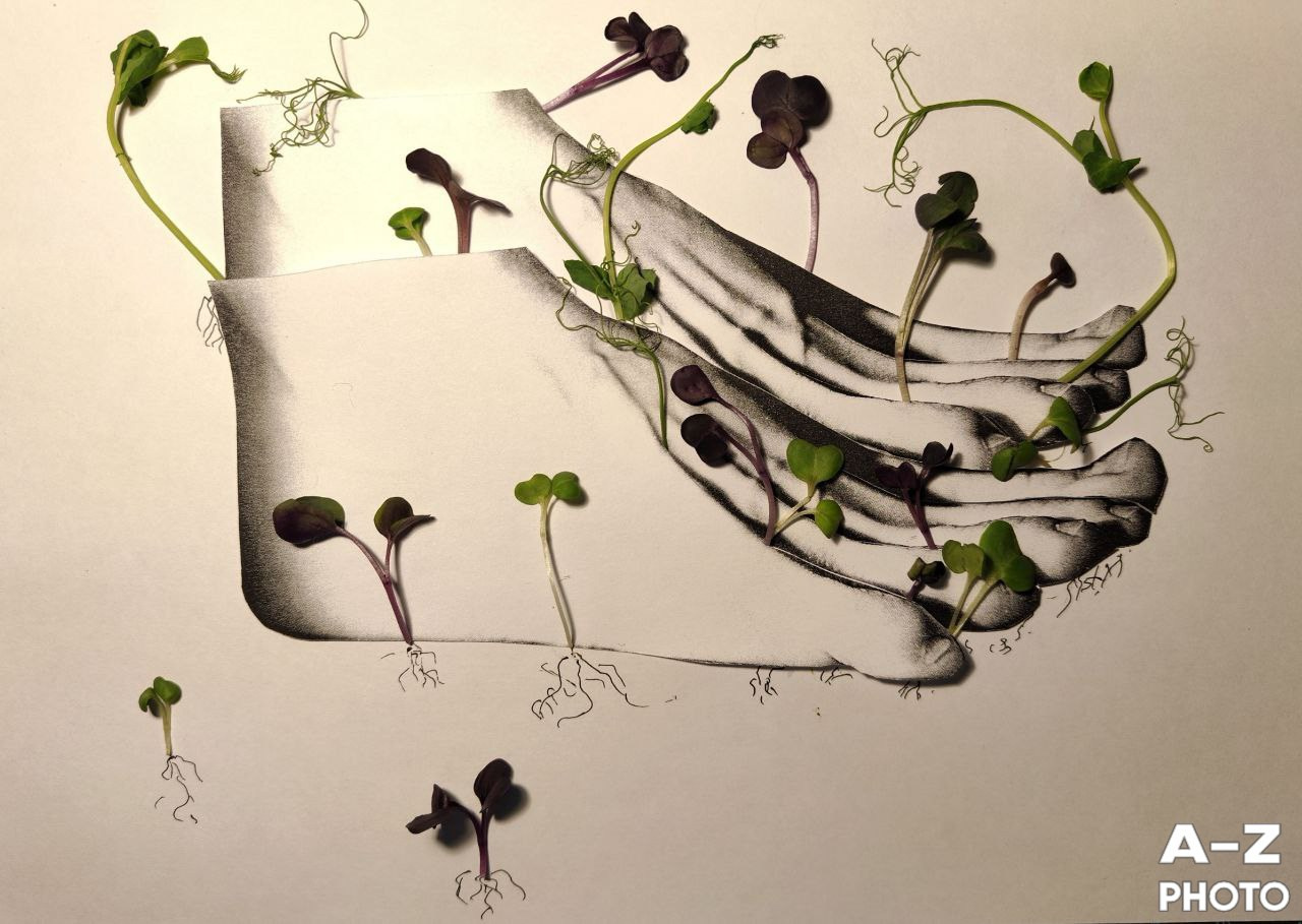 #ФОТОНЕДЕЛИ 16.03.2026. Женский семейный фотограф Тула Москва Захарова Анна