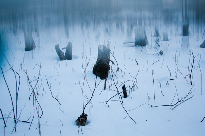 Archive ptoto projects. Янина болдырева Yanina Boldyreva