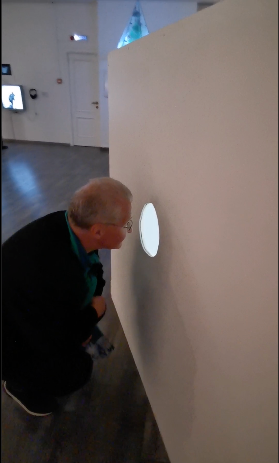 Olga Mikhalchuk and her work at Species-specific traits exhibition. Ольга Михальчук, художница и фотограф