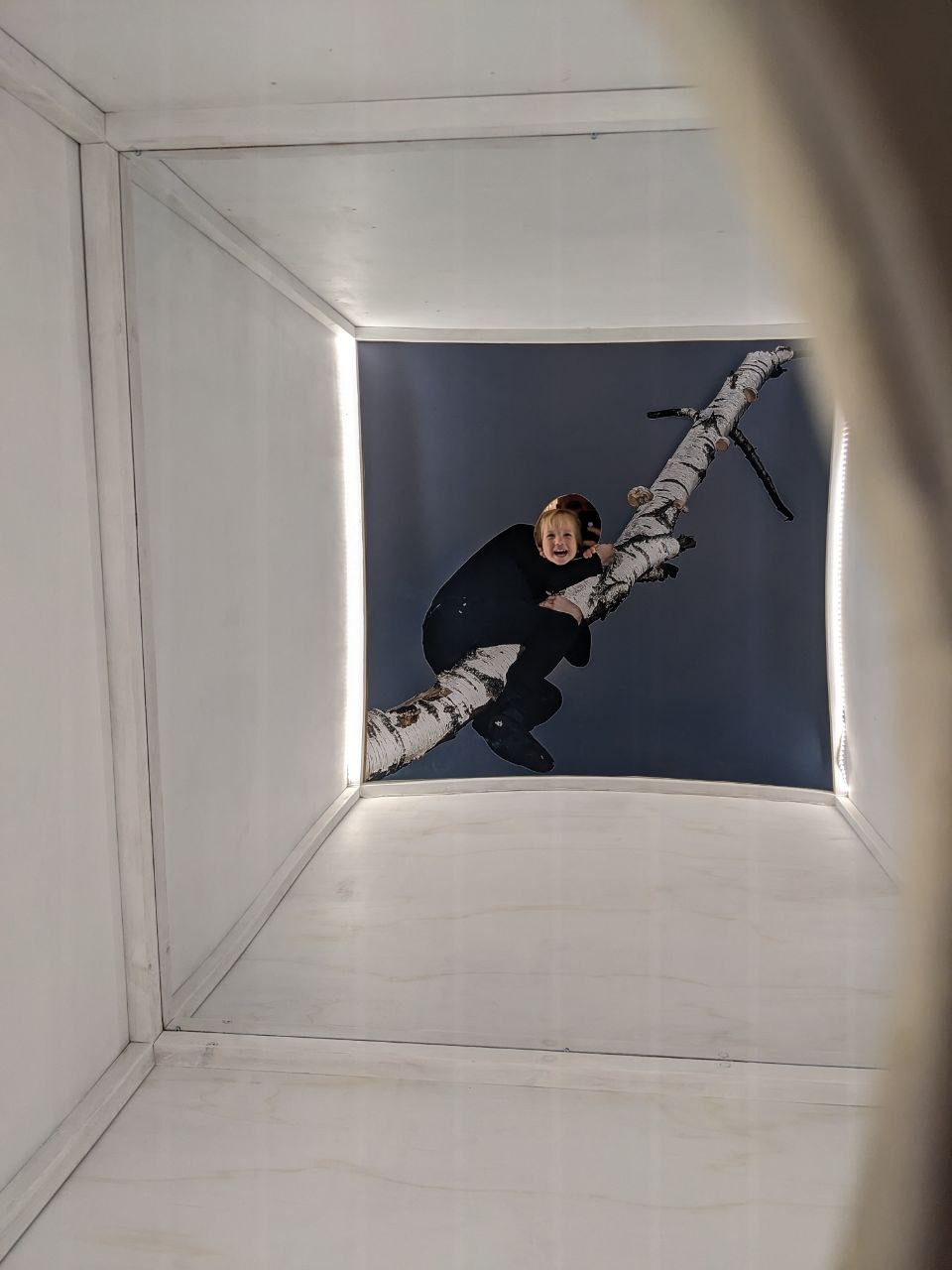 Olga Mikhalchuk and her work at Species-specific traits exhibition. Ольга Михальчук, художница и фотограф