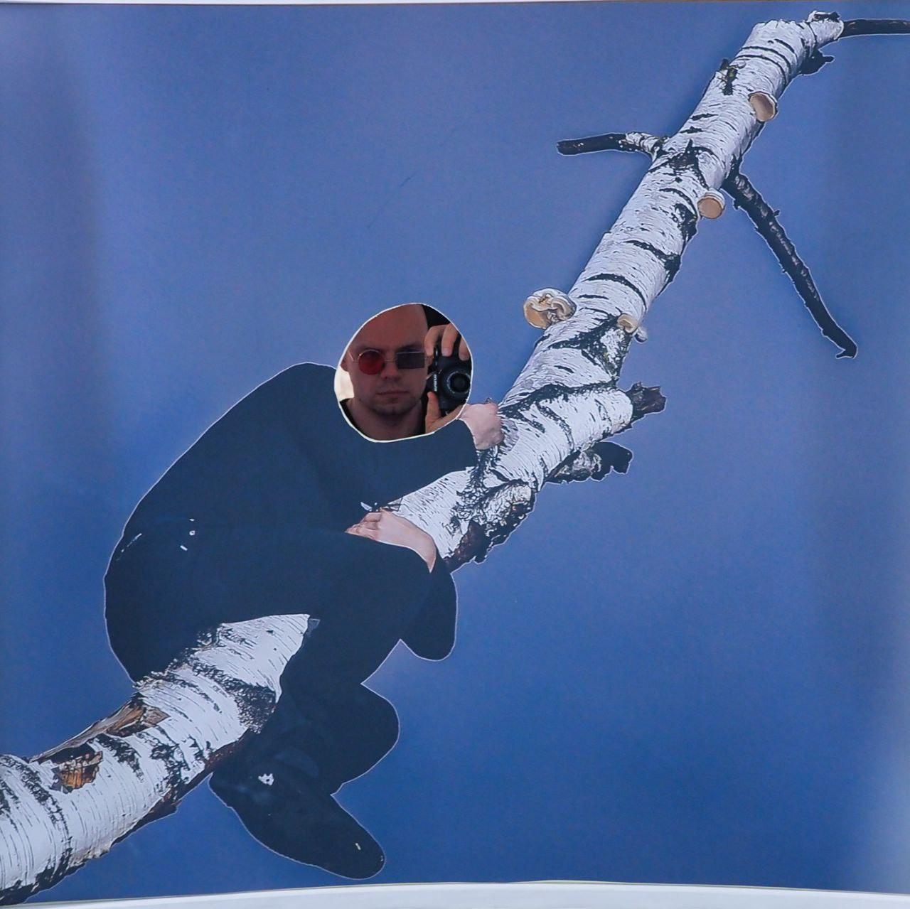 Olga Mikhalchuk and her work at Species-specific traits exhibition. Ольга Михальчук, художница и фотограф