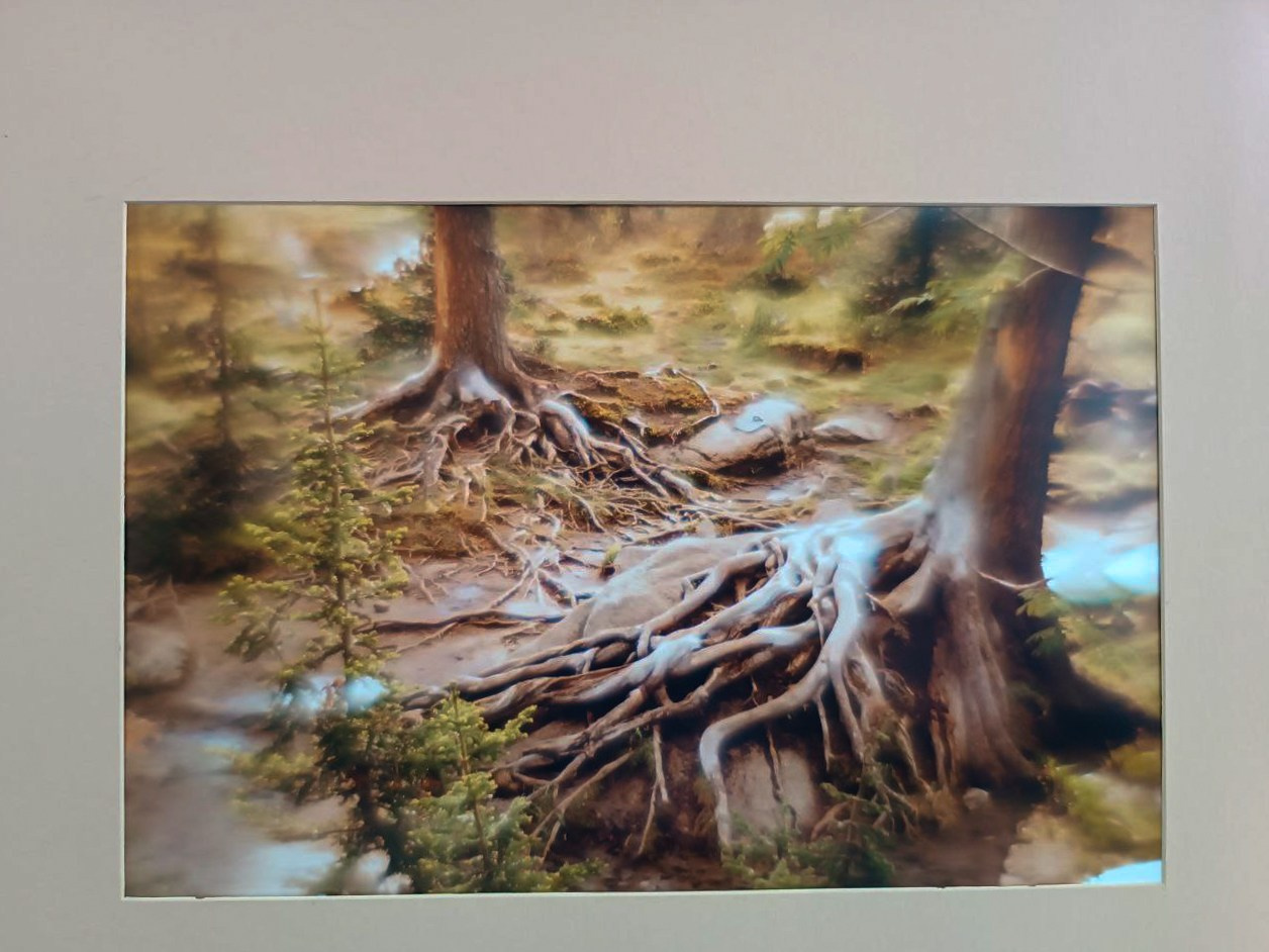 Авторская выставка «Ловец снов». Фотограф в Красноярске Оксана Корчагина