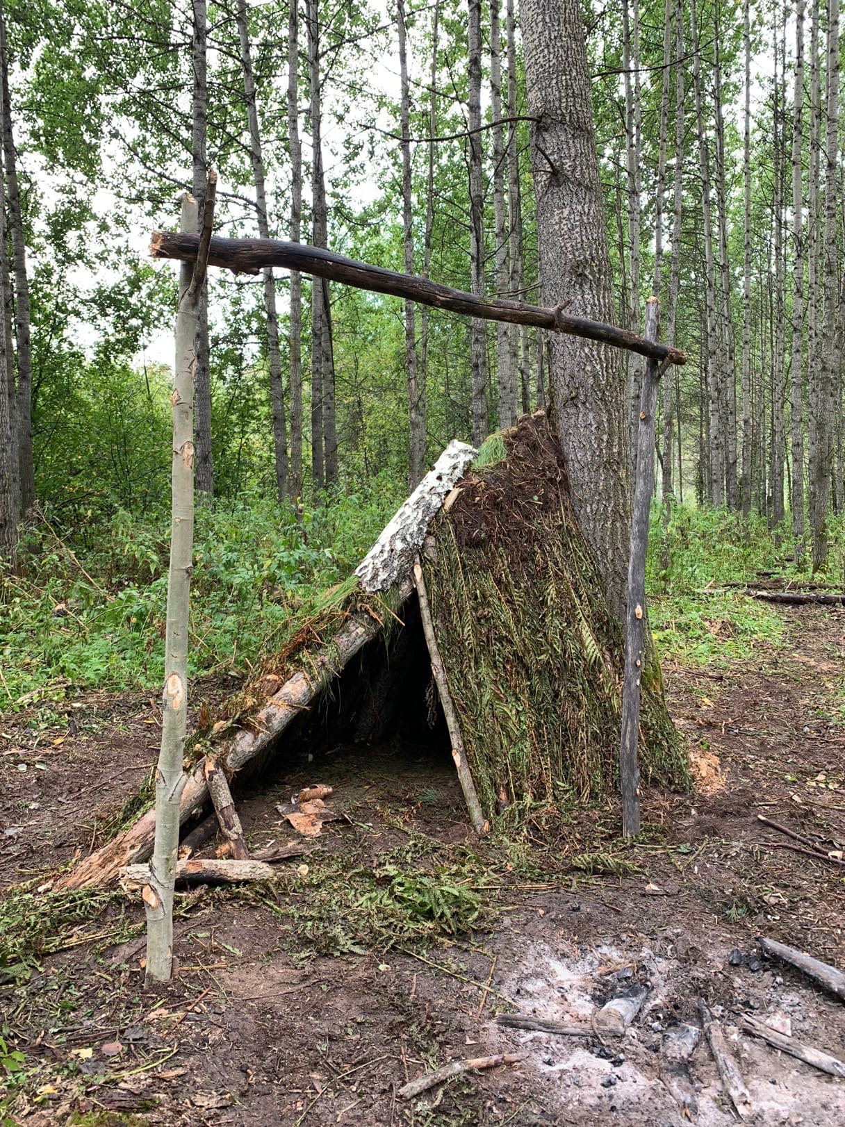 «Робинзонада». Детские программы Школа безопасности Новосибирск