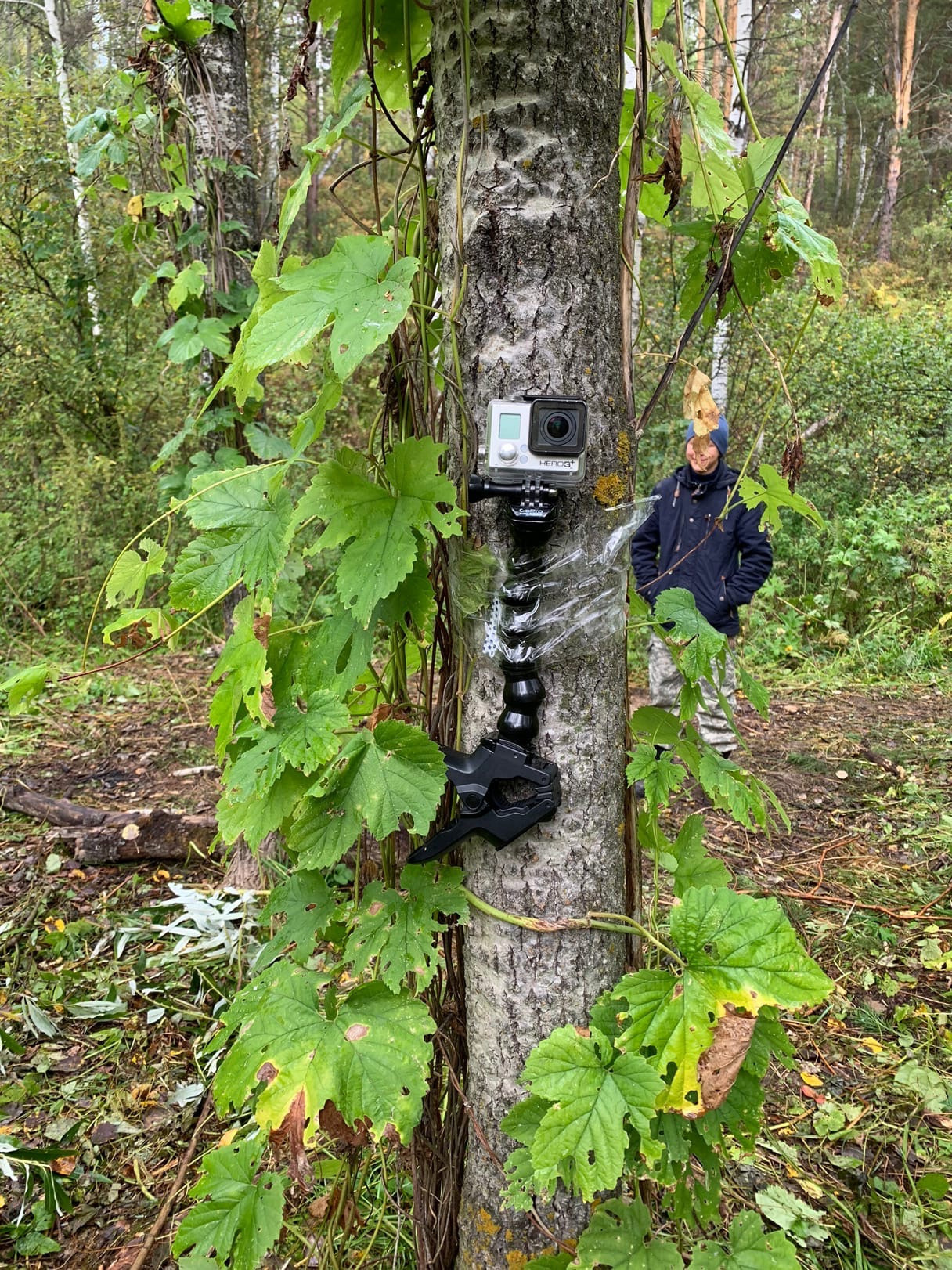 «Робинзонада». Детские программы Школа безопасности Новосибирск