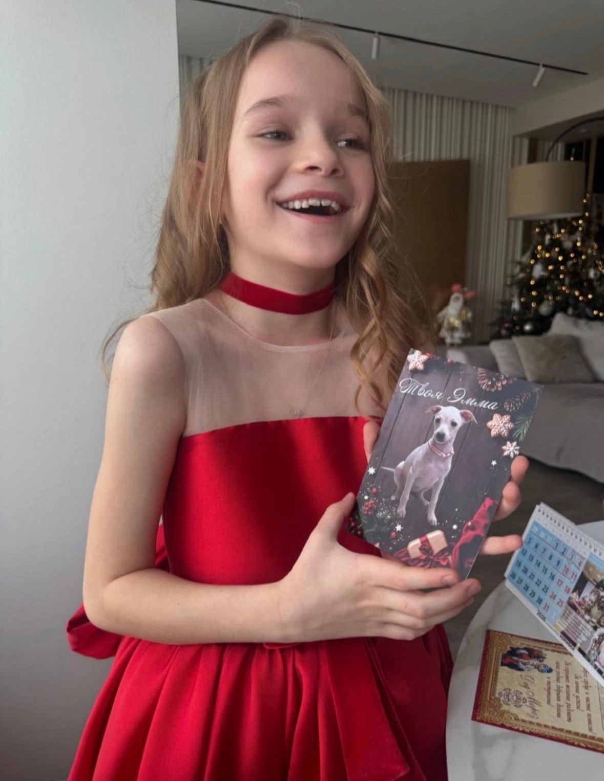 Левретка и ребенок: нежная дружба. Профессиональный питомник левреток РКФ/FCI ASTI SAPPHIRE 💎 Сочи|Санкт-Петербург