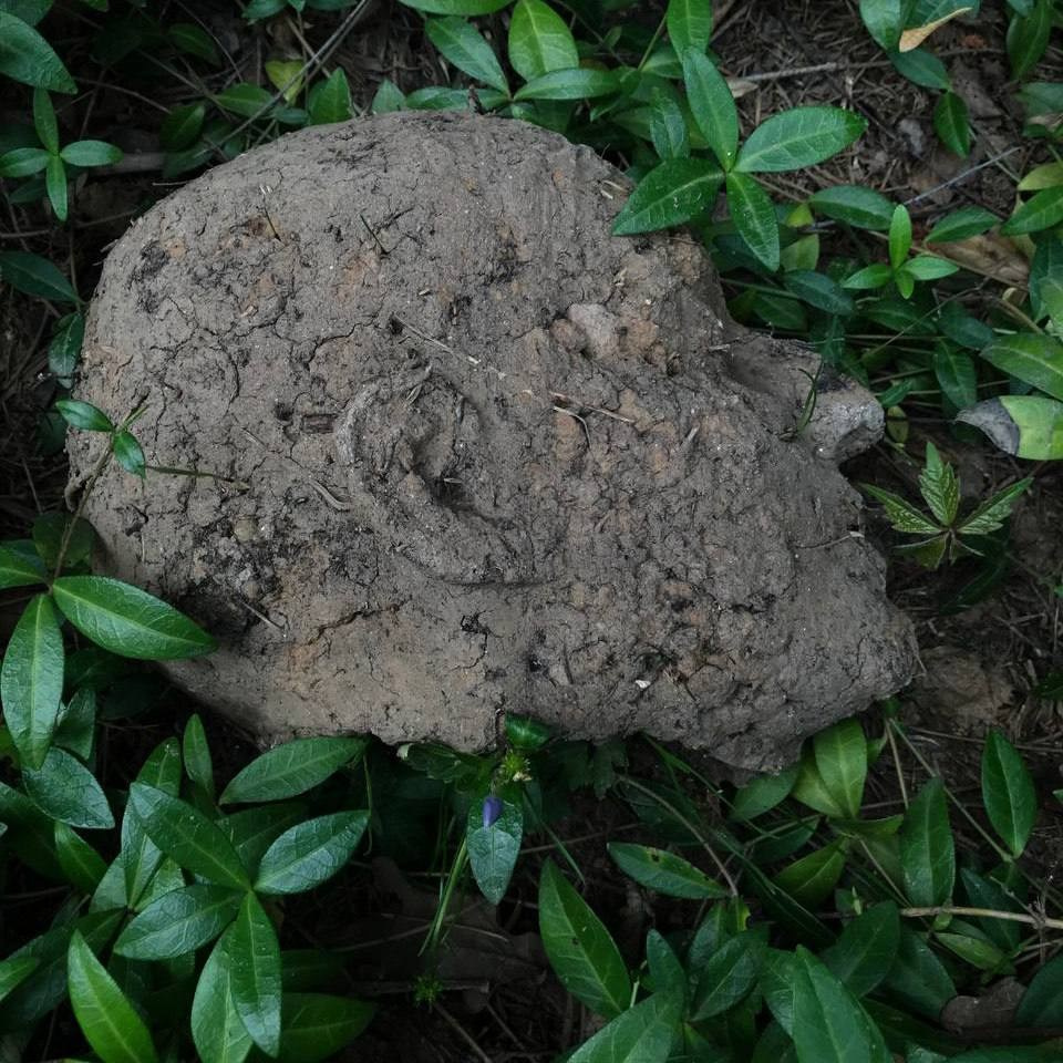 Встреча с Еленой Аносовой, руководителем мастерской «Проектное мышление в визуальных медиа». Елена Аносова — художница и исследовательница, куратор и лектор