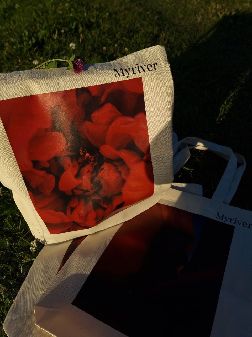 Шоперы. Фотограф из Санкт-Петербурга/Катерина Зайцева