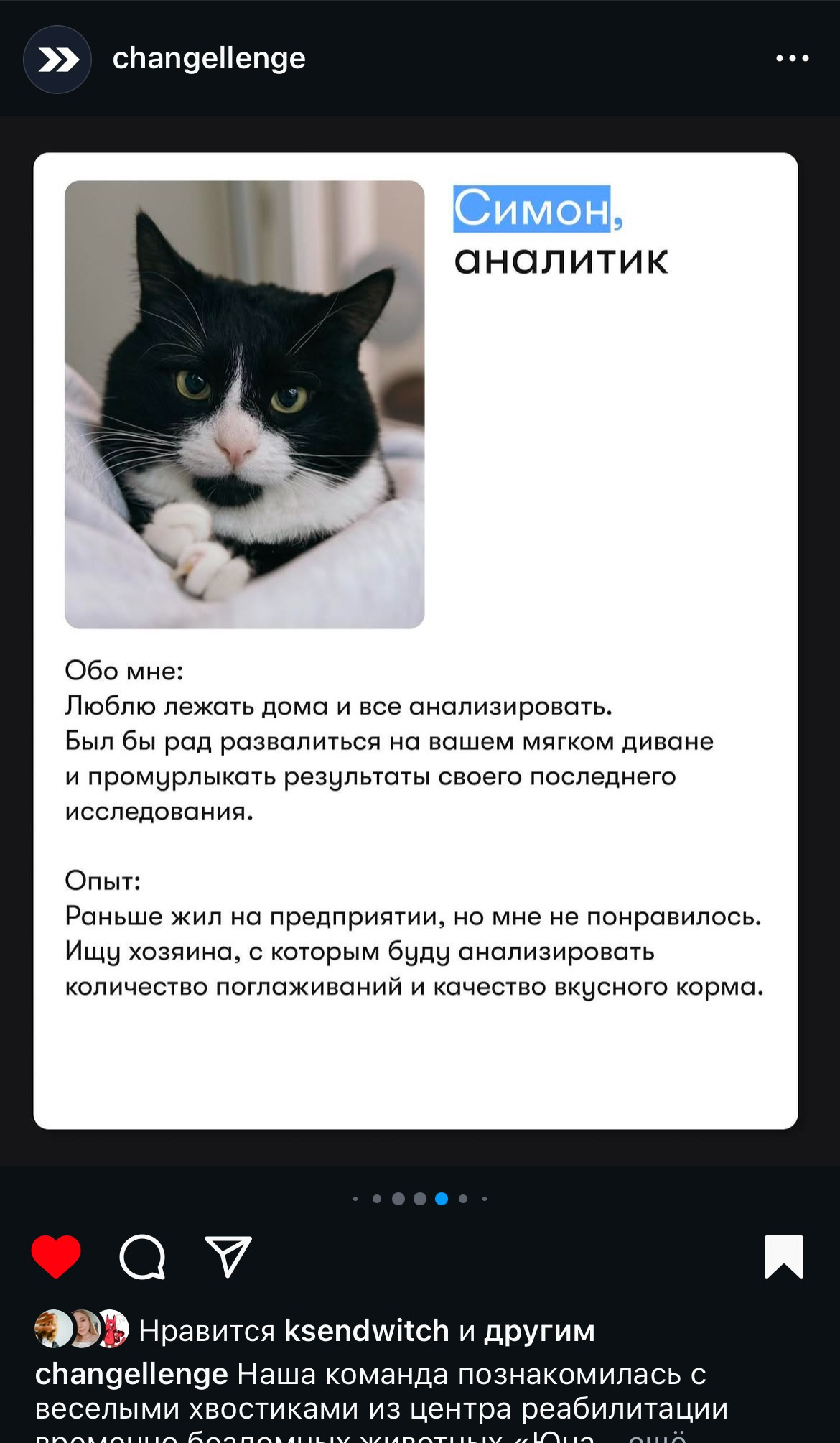 Бренды. Фотограф и коллажист Ольга Шереметьева