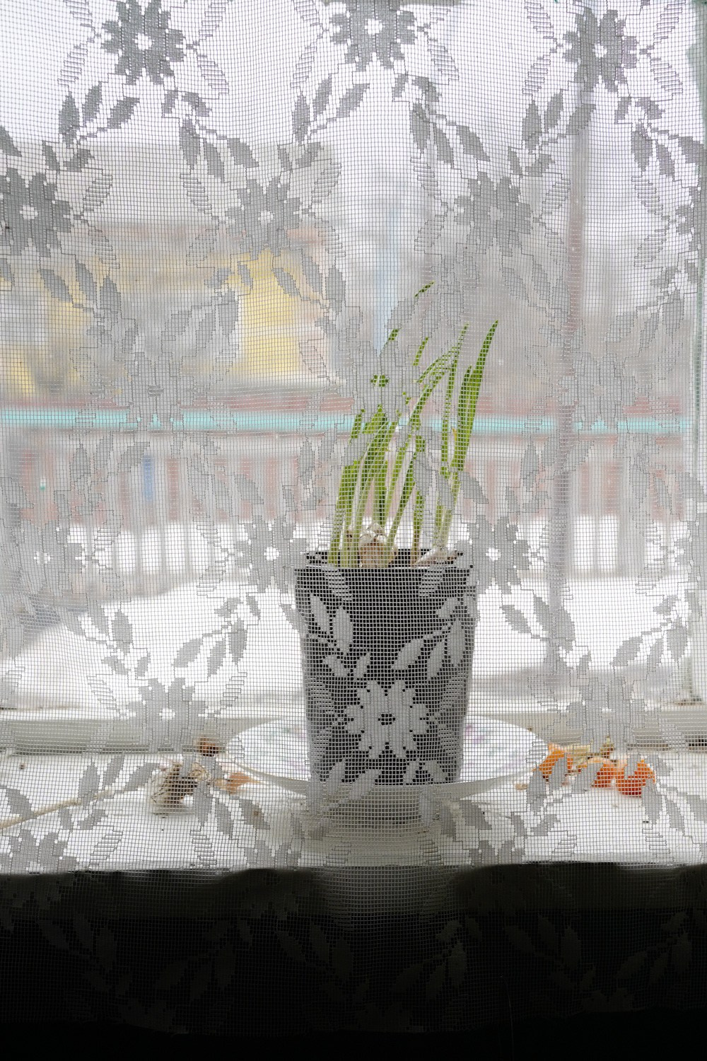 Рита Хатмуллина «Шаль». Самоорганизация Низина