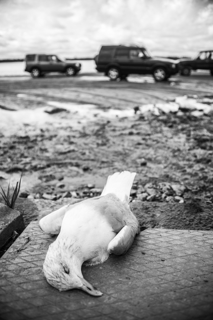 Автопутешествие по России на Range Rover, Discovery , Defender. Жуков Илья свадебный фотограф в Москве