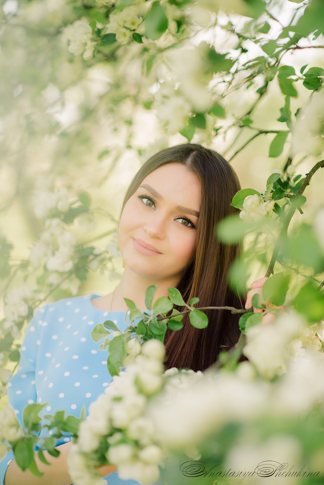 Фотосессия в яблонях в СПб, Фотосессия в цветении СПб. Семейный и Свадебный фотограф. Санкт-Петербург. Пушкин