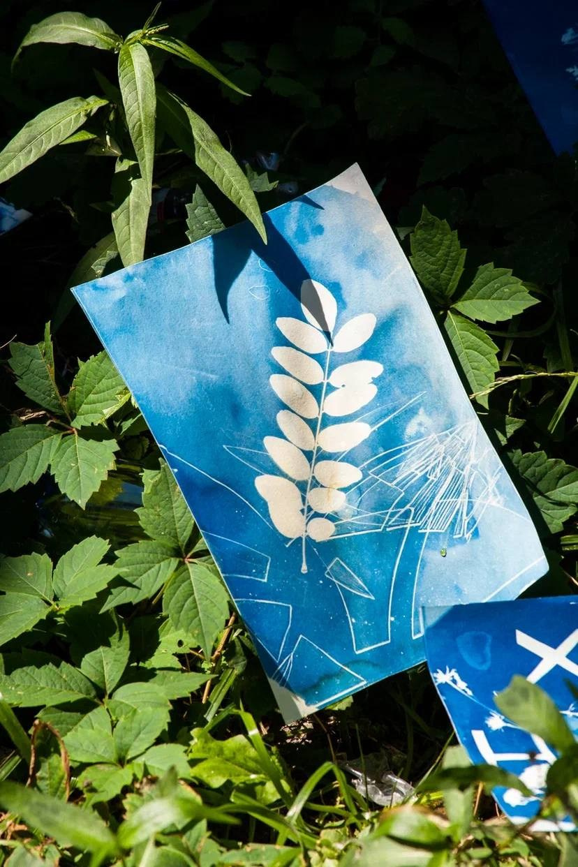 МК по дикой цианотипии, 20 августа 2023, Ростов-на-Дону. Лера Круглова