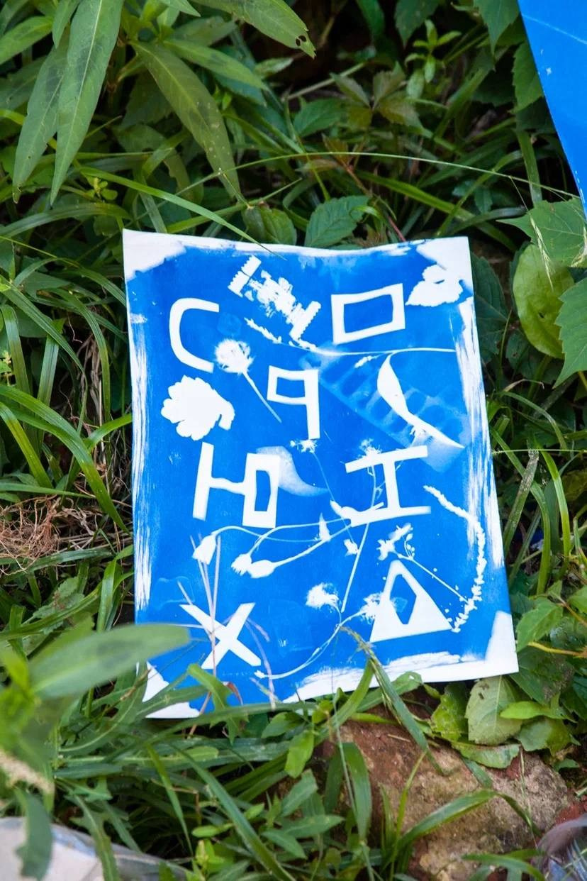 МК по дикой цианотипии, 20 августа 2023, Ростов-на-Дону. Лера Круглова