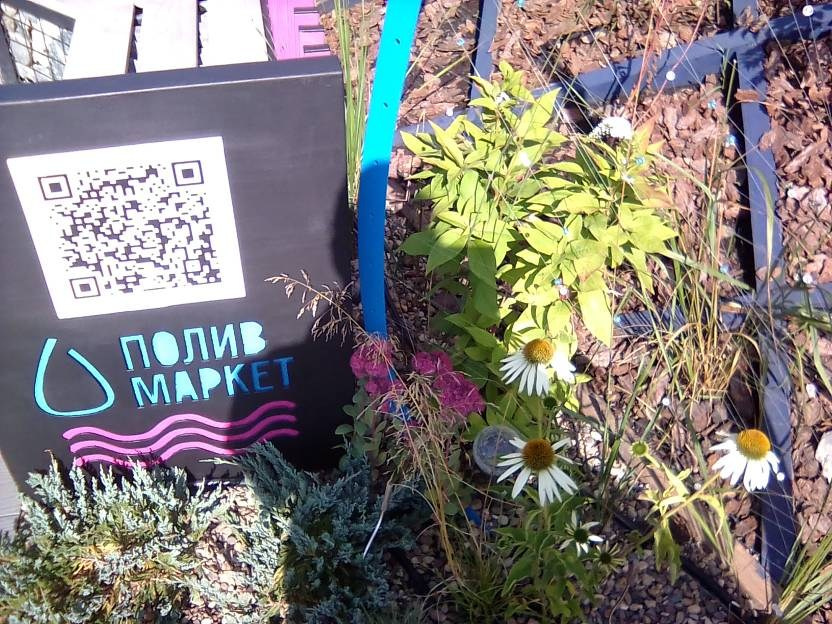 ВНИМАНИЕ! ФЕСТИВАЛЬ ЛАНДШАФТНОГО СТРОИТЕЛЬСТВА. 俄罗斯设计估算