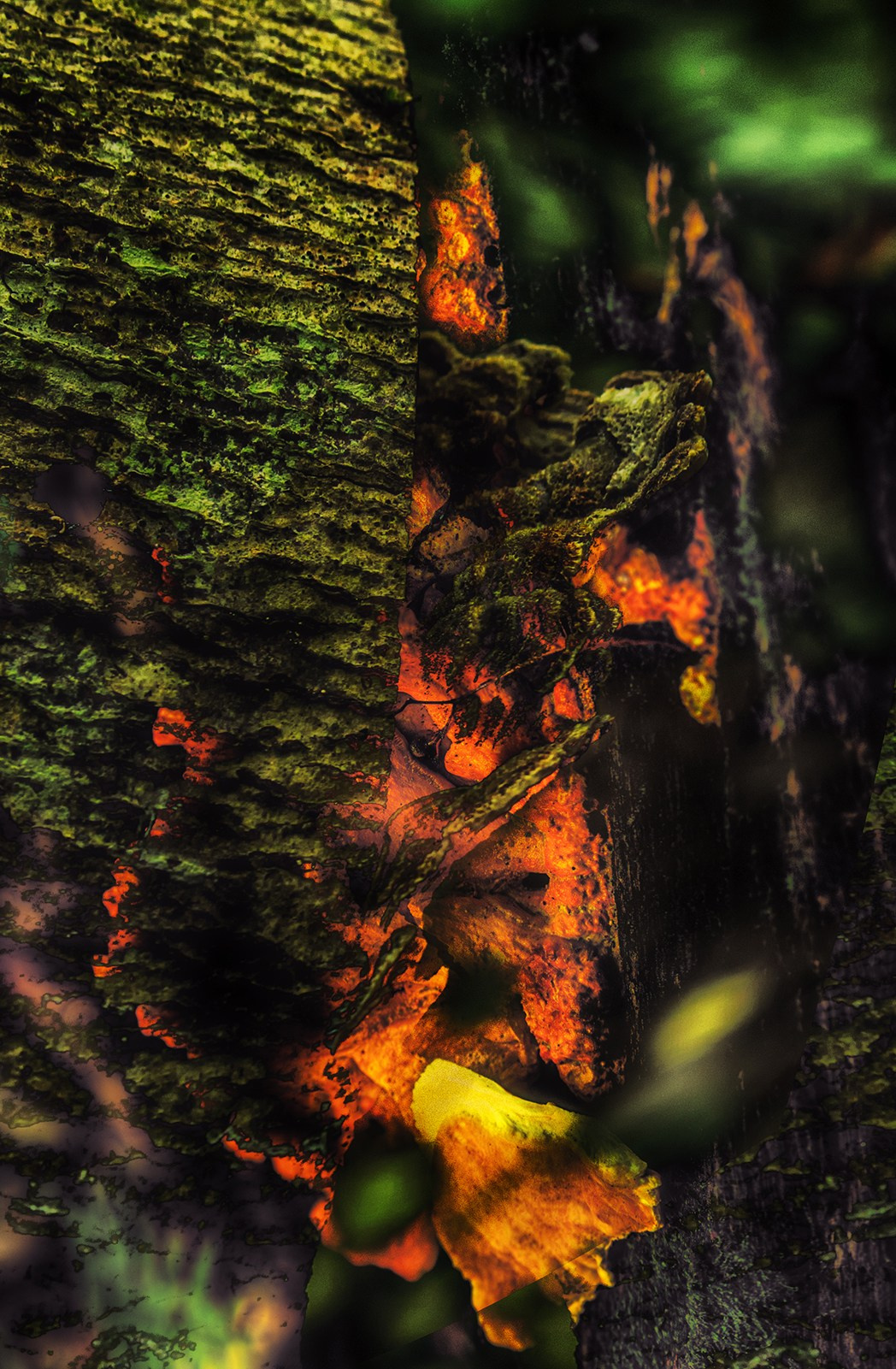 Творчество. Фотограф в Сочи Елена Лисотина. Фототуры в Сочи