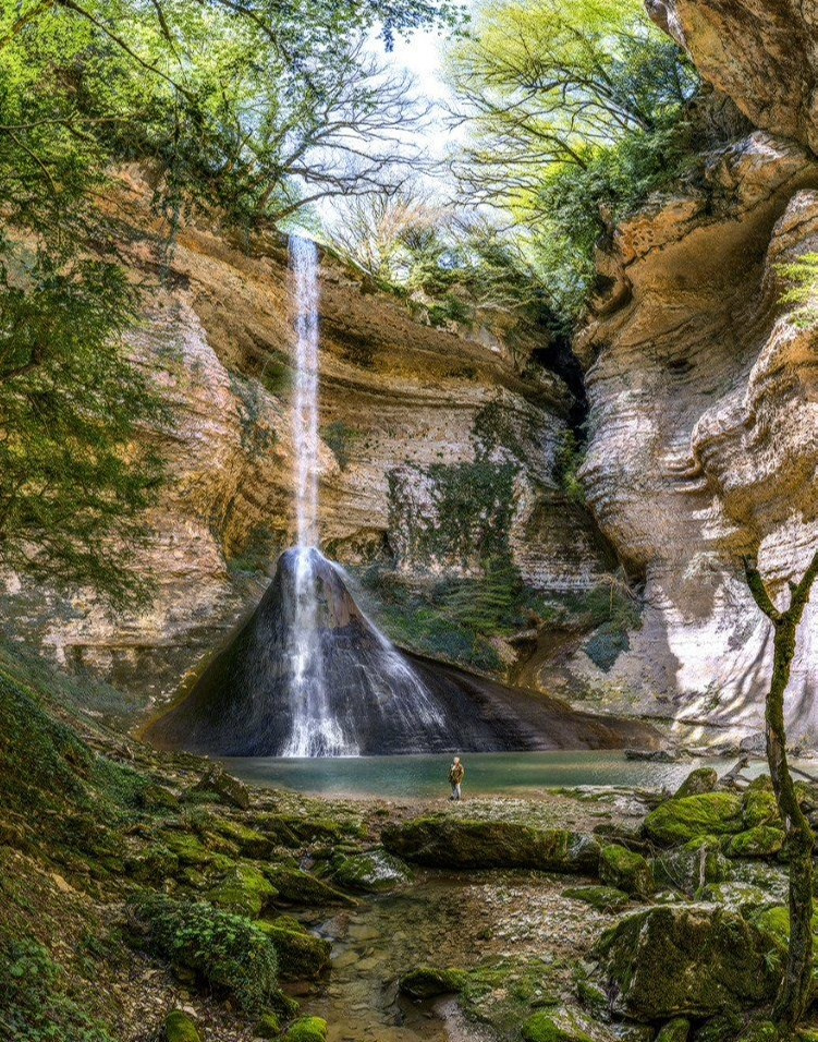 Абхазия. «Мандариновое настроение». Ольга Котова