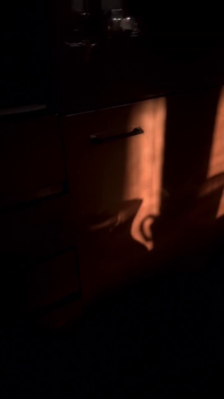 МОБИЛЬНАЯ ВИДЕОГРАФИЯ