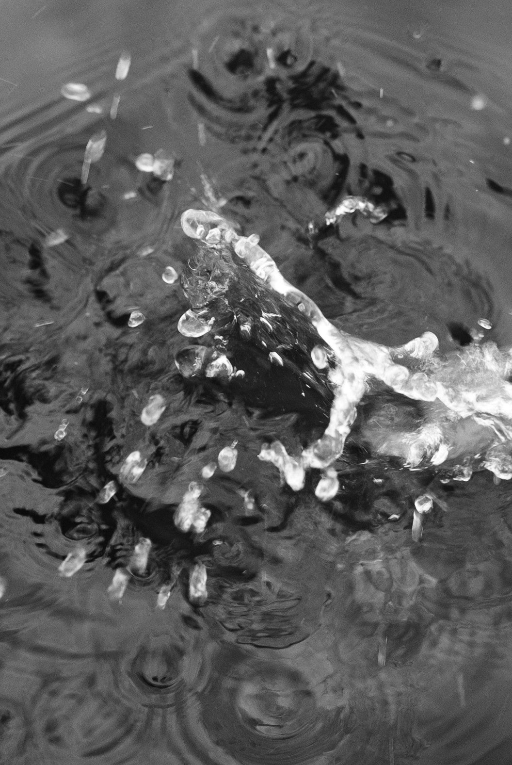 Кошенкова Мария: портретный и репортажный фотограф. Санкт-Петербург