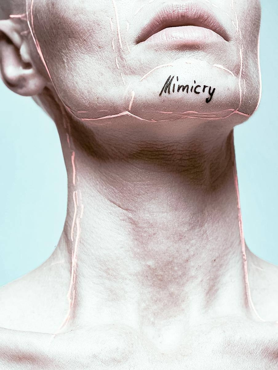 Mimicry. WAYS12