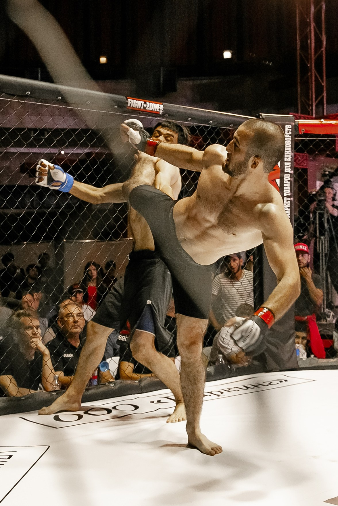 Удар ногой с разворота в октагоне MMA репортажная фотография