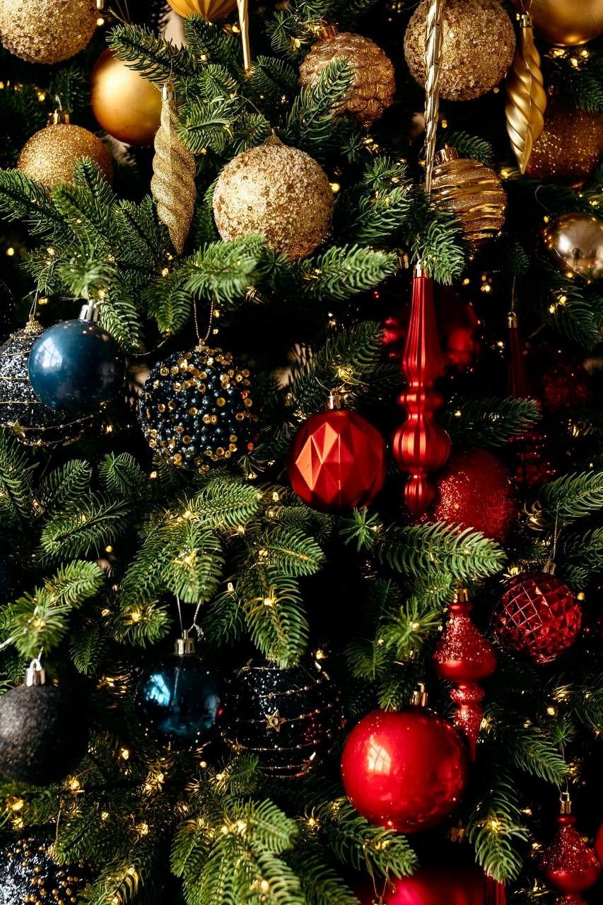 Зал «Эдисон». Фотостудия Аристократ | Циклорама угловая|Пенза