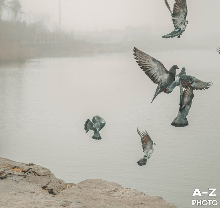 #ФОТОНЕДЕЛИ 06.04.2026. Женский семейный фотограф Тула Москва Захарова Анна