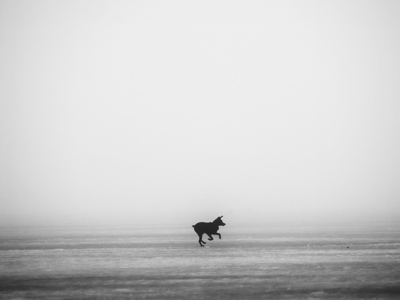 Елена Гонтаренко — художественный портрет. Фотограф в России, Семейный фотограф, репортажный фотограф, детский фотограф, портретный фотограф, контент фотограф, универсальный фотограф