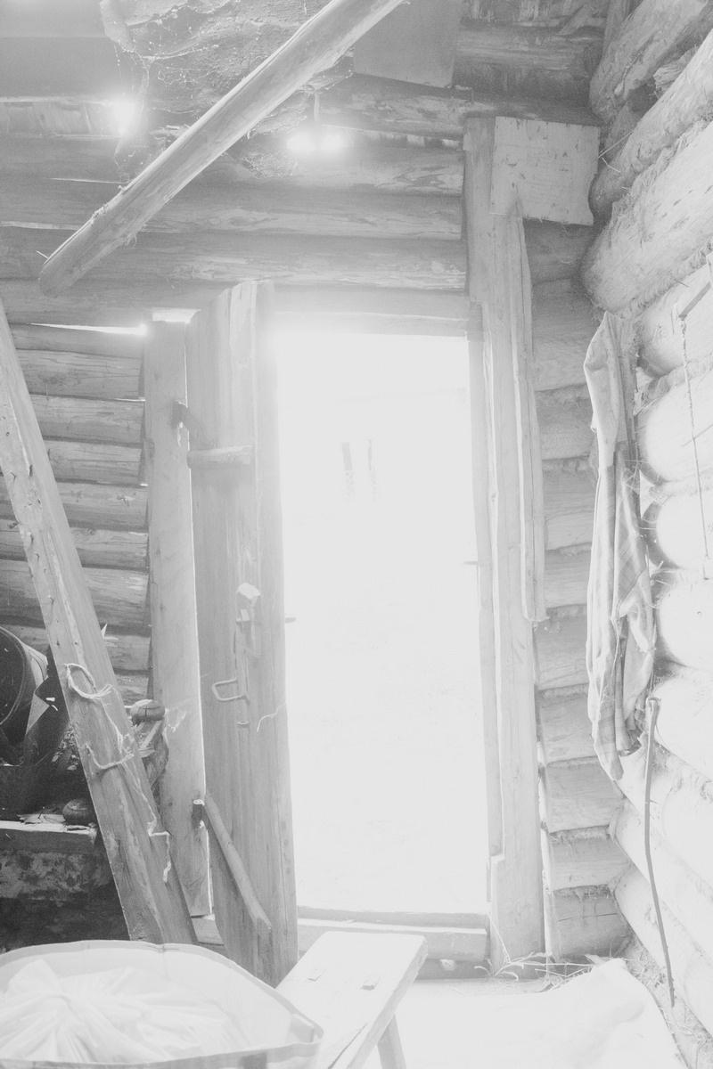 Everything Went Dark. Kristina Sergeeva