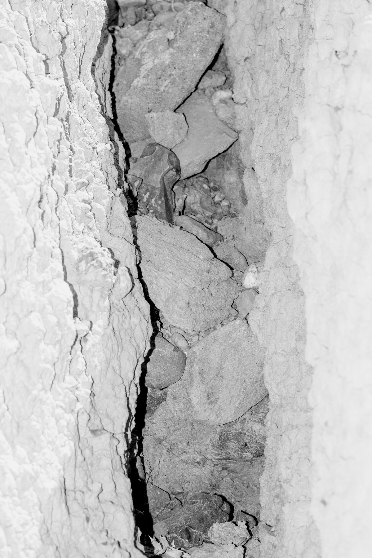 Shunya. Kristina Sergeeva