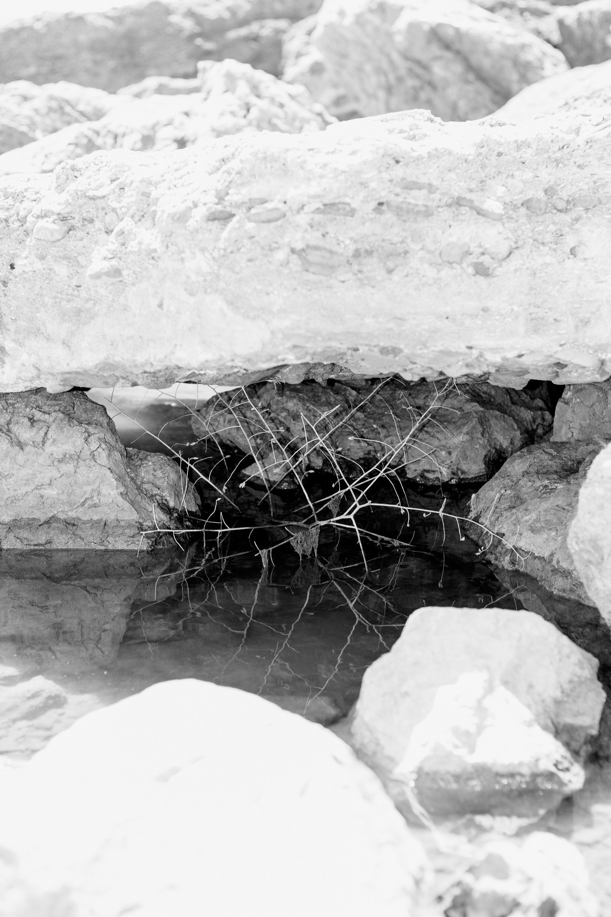 Shunya. Kristina Sergeeva